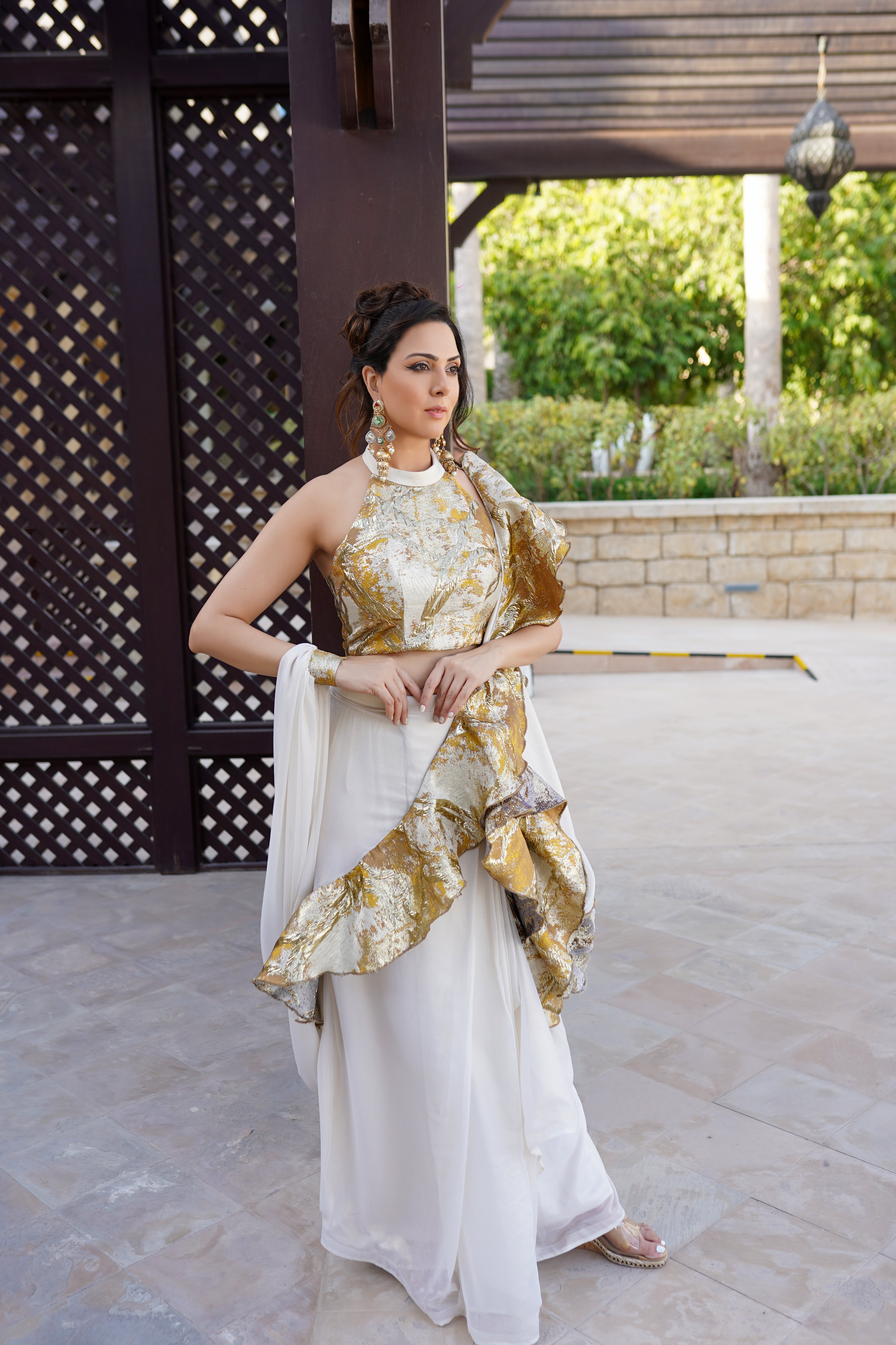 Ethnichic Saree 2