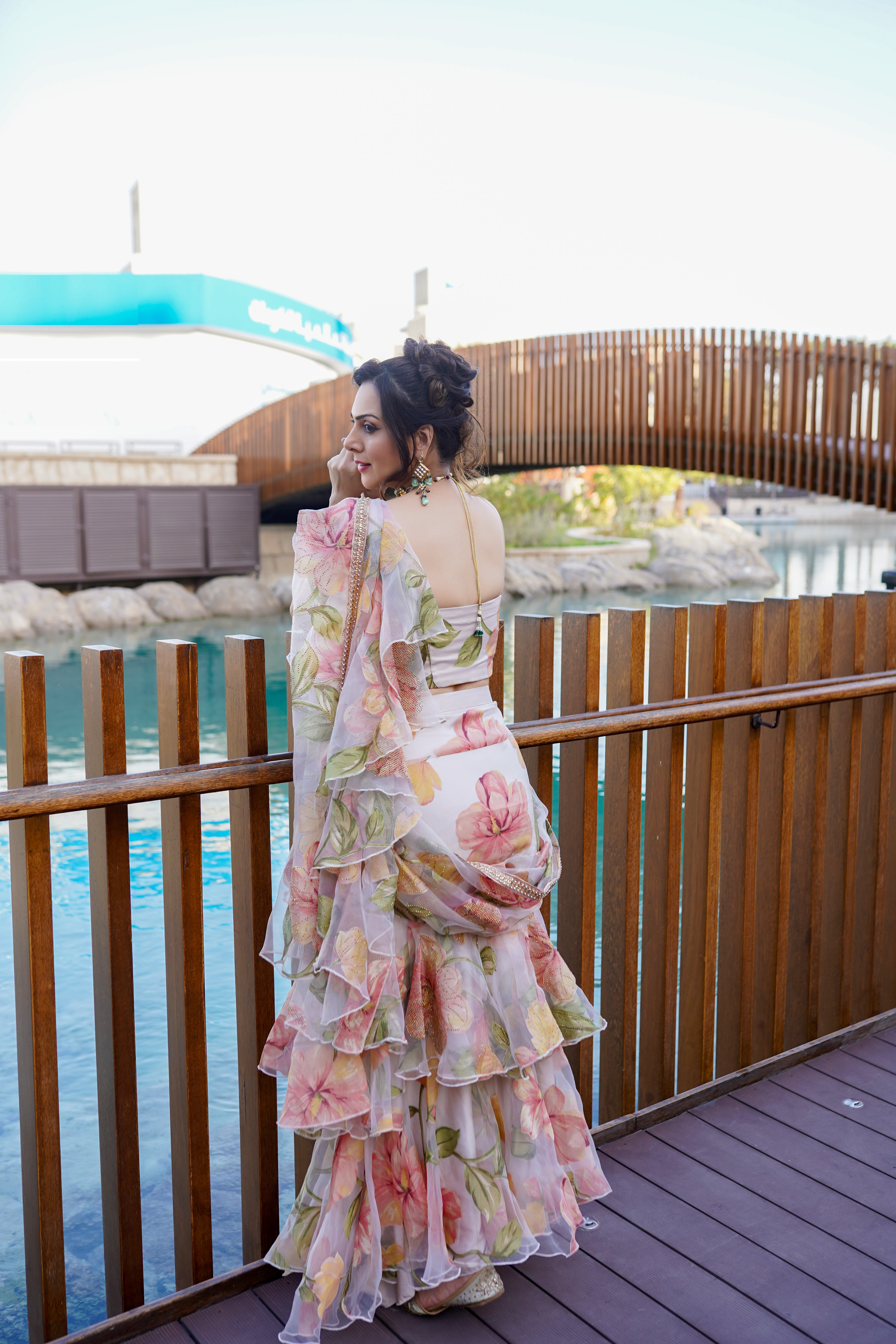 Ethnichic Saree  3